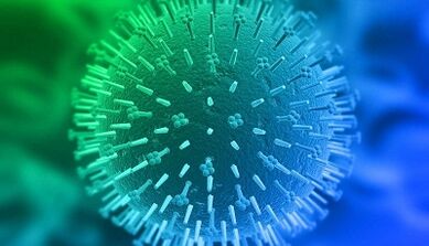 Wege der Infektion mit humanen Papillomaviren